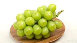 상품권 이미지